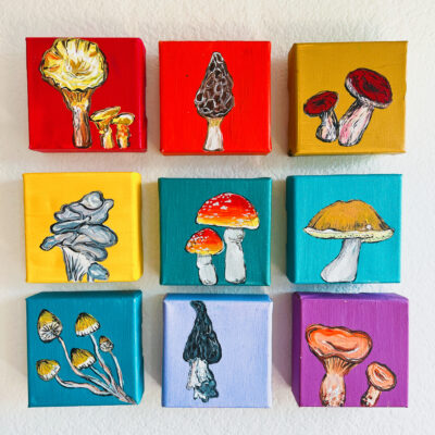 4F0D7877 D5F7 4F4B 84B9 B6920A8B1741 400x400 - Girdwood Mini Mushroom Series (9 canvases)