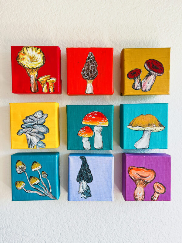 4F0D7877 D5F7 4F4B 84B9 B6920A8B1741 600x800 - Girdwood Mini Mushroom Series (9 canvases)