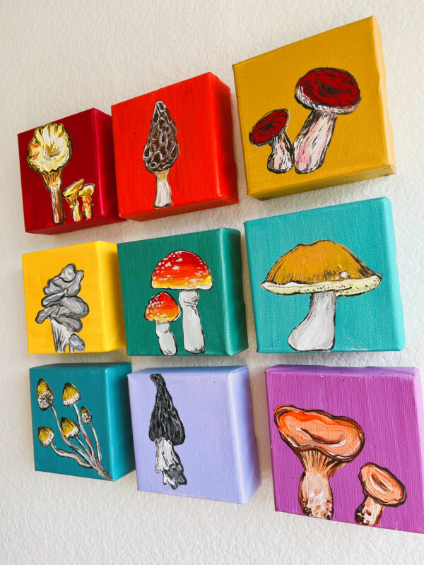 9060A64C E58F 459C B7FF 63CAF2ED1AAF 600x800 - Girdwood Mini Mushroom Series (9 canvases)