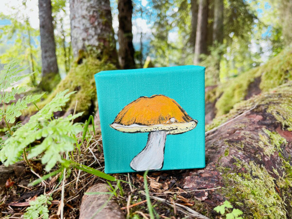 BF202B16 E491 457B AF27 AAE0BE625465 600x450 - Girdwood Mini Mushroom Series (9 canvases)