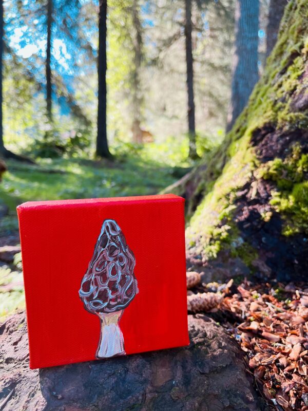 IMG 5565 600x800 - Girdwood Mini Mushroom Series (9 canvases)