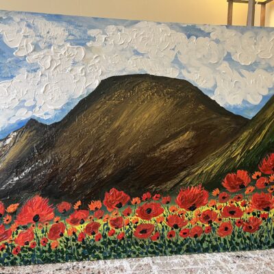 IMG 3343 400x400 - Flattop Mountain Poppies
